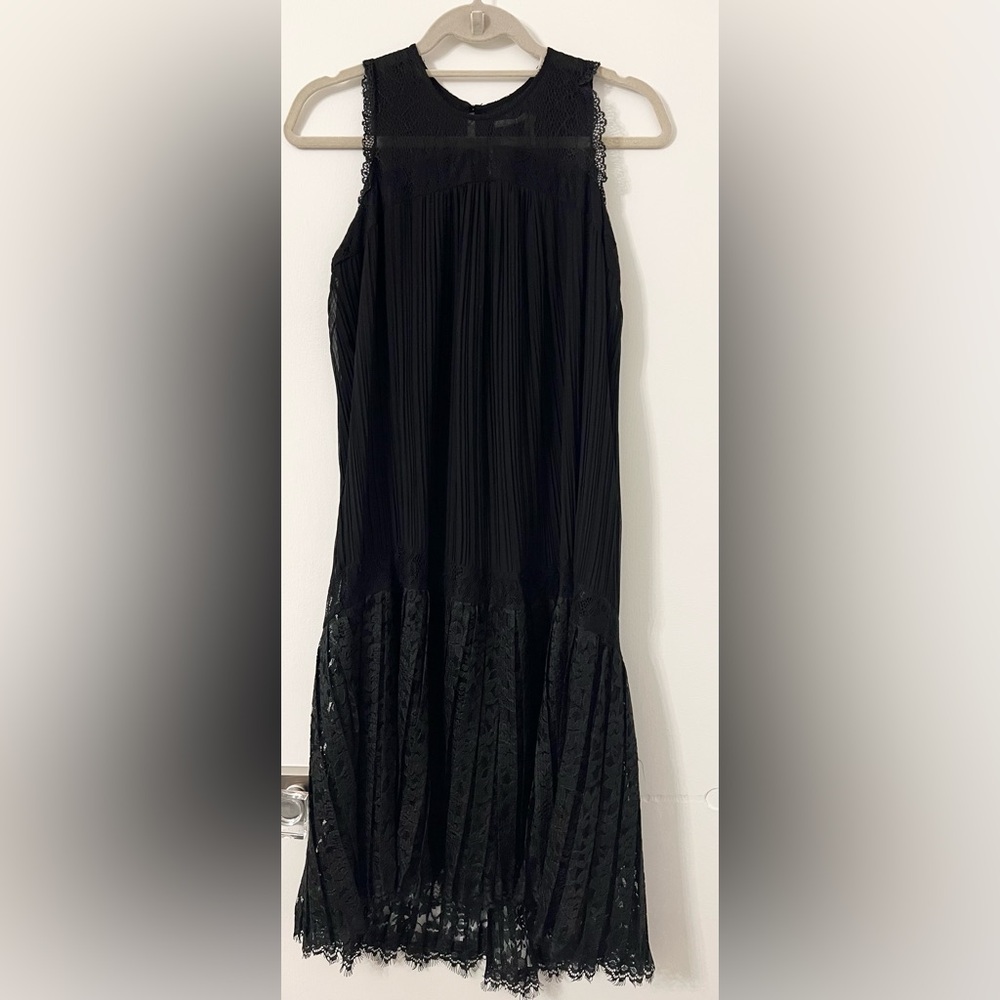 Anthropologie Lace Pleated Dress